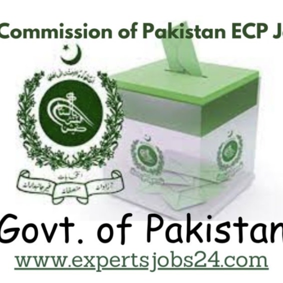 All Pak Jobs (Group-5)